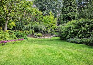 Optimiser l'expérience du jardin à Moutiers-sous-Argenton
